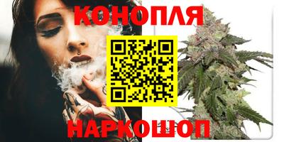 твердый Будённовск