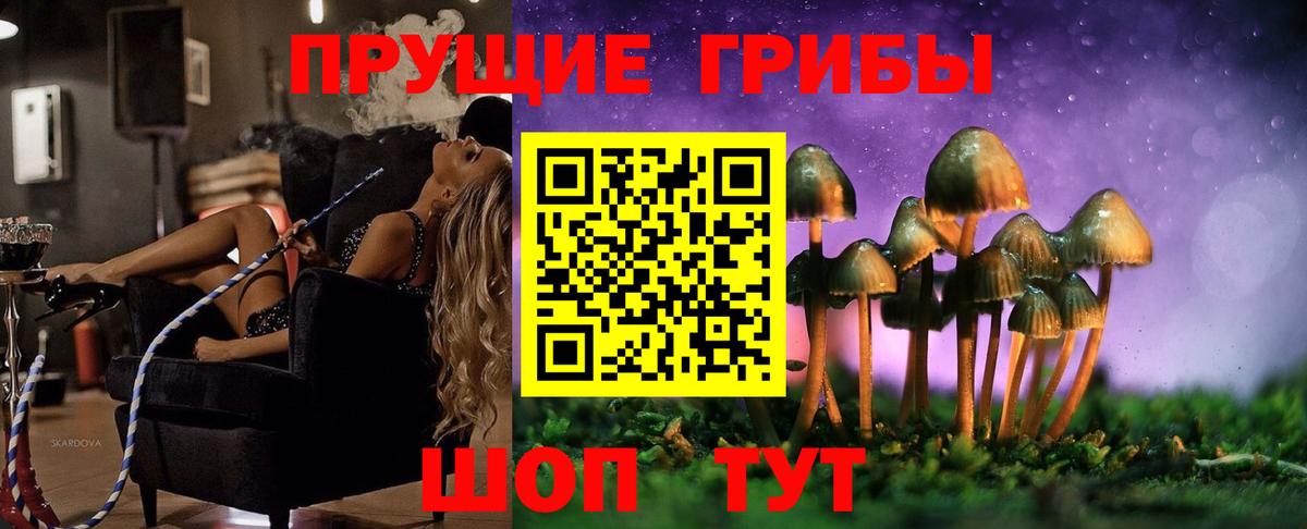 Соль-Илецк  Псилоцибиновые грибы MAGIC MUSHROOMS  Вход с VPN 